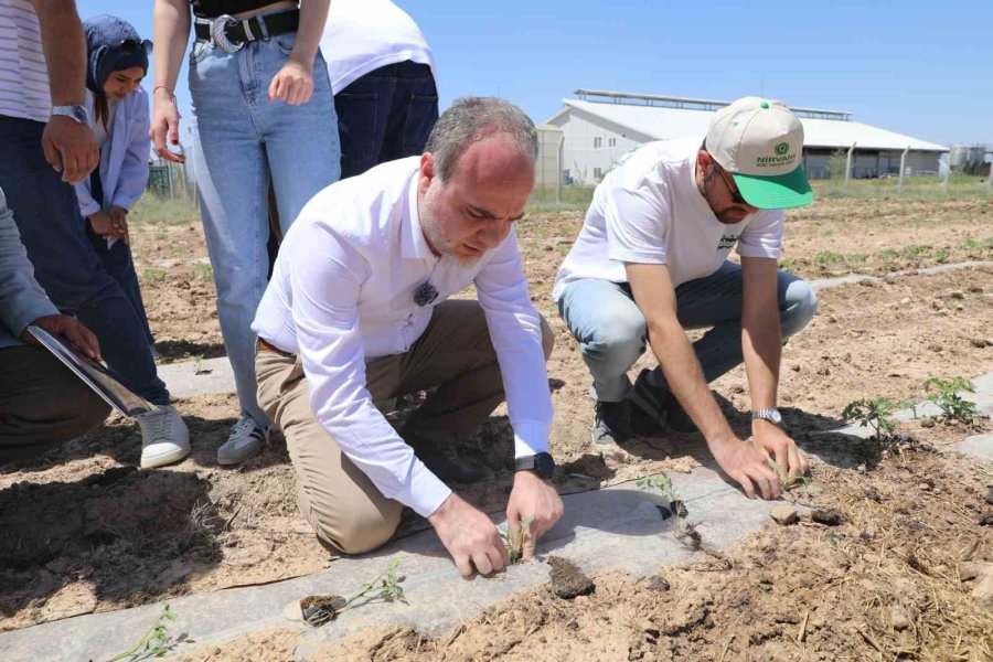 Nöhü, Niğde Bağlarını Yeniden Canlandırıyor