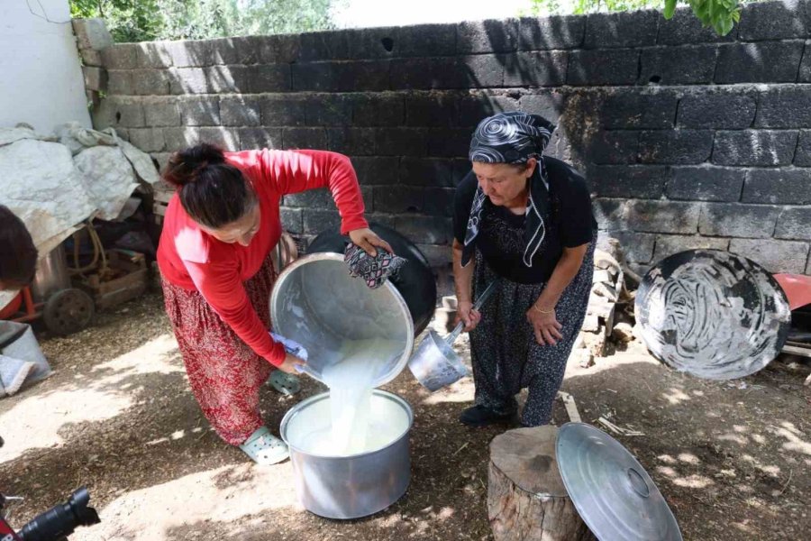 Silifke Yoğurdu Sadece Türkiye’de Değil Avrupa’da Da Korunup Tanıtılacak