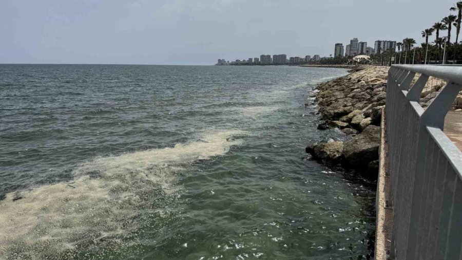 Mersin Körfezi’nde ’alg Patlaması Ve Müsilaj Kalıntıları’