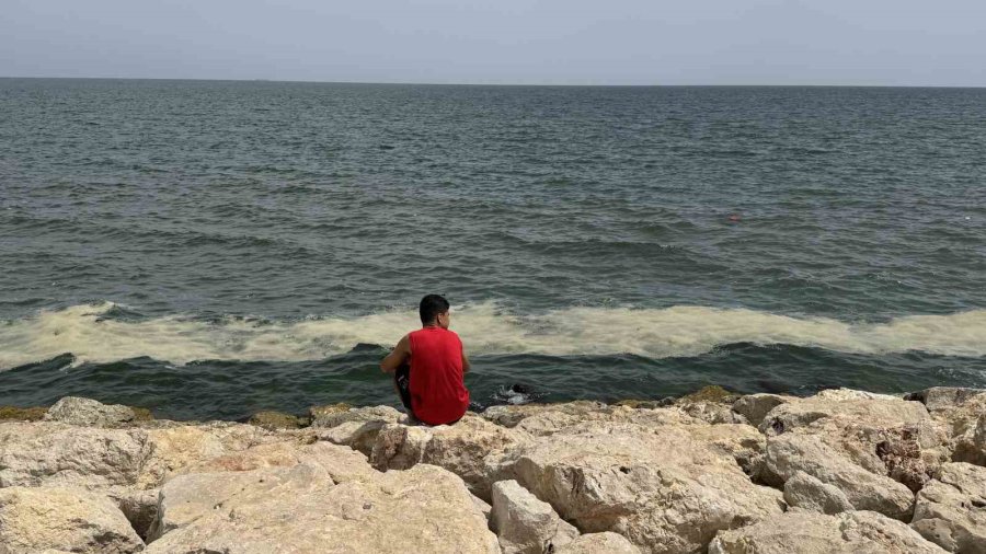 Mersin Körfezi’nde ’alg Patlaması Ve Müsilaj Kalıntıları’