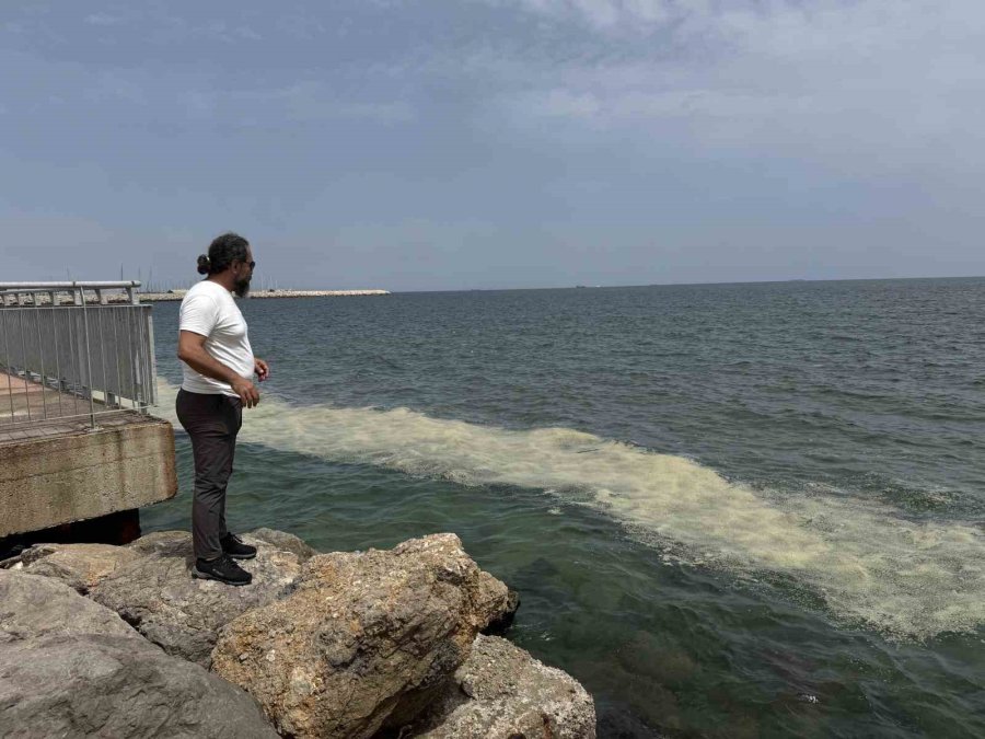 Mersin Körfezi’nde ’alg Patlaması Ve Müsilaj Kalıntıları’