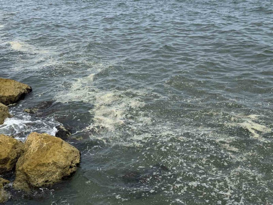 Mersin Körfezi’nde ’alg Patlaması Ve Müsilaj Kalıntıları’