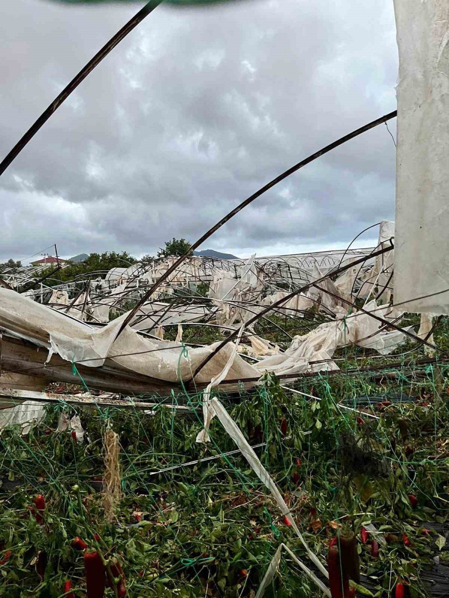 Gazipaşa’da Hortum Seraları Vurdu, Çatıları Uçurdu