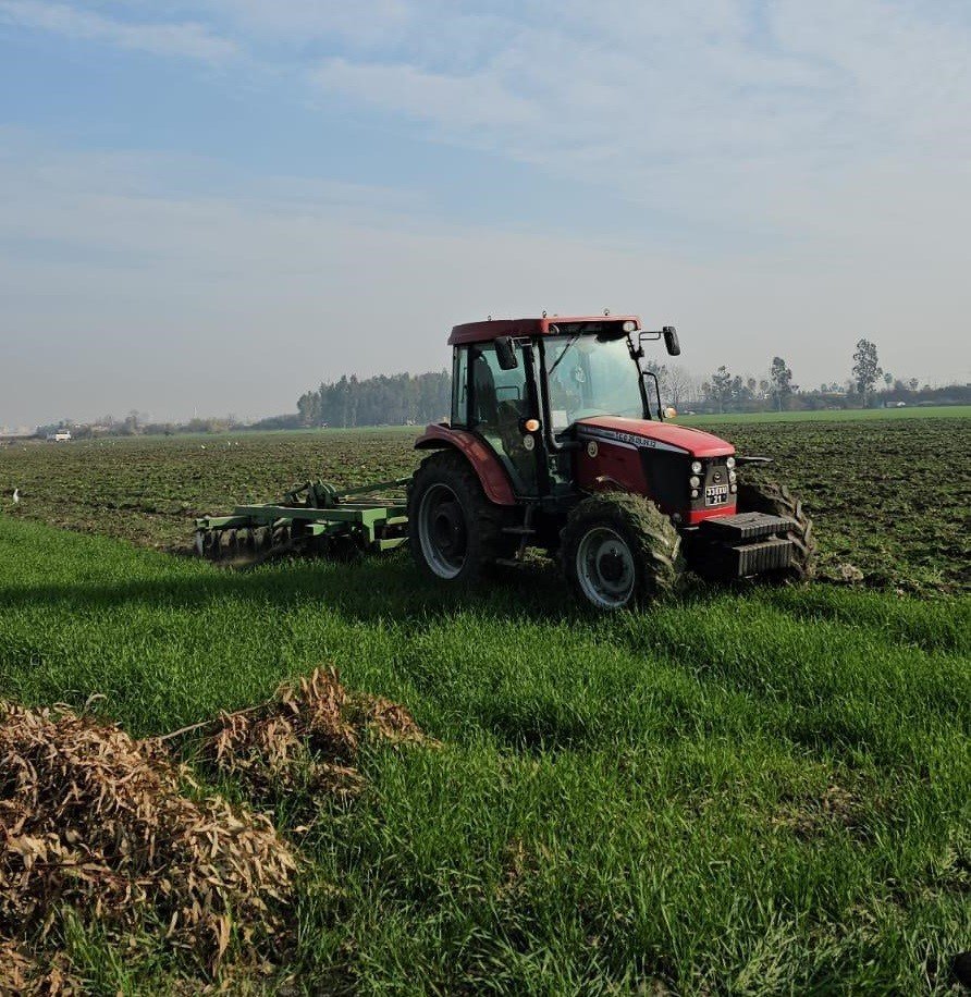 41 Hektarlık Ormanı Tarım Alanına Dönüştürmeye Çalıştılar, Zamanında Müdahale Engel Oldu