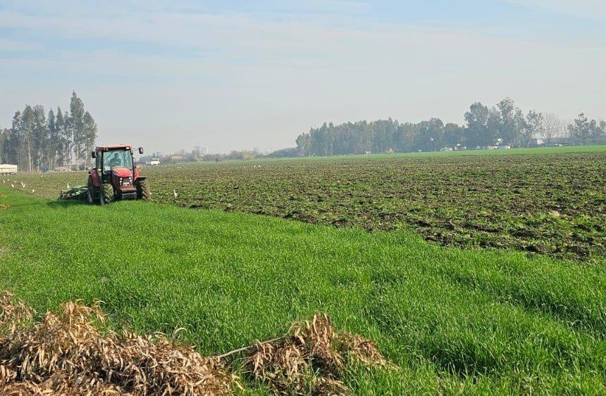 41 Hektarlık Ormanı Tarım Alanına Dönüştürmeye Çalıştılar, Zamanında Müdahale Engel Oldu
