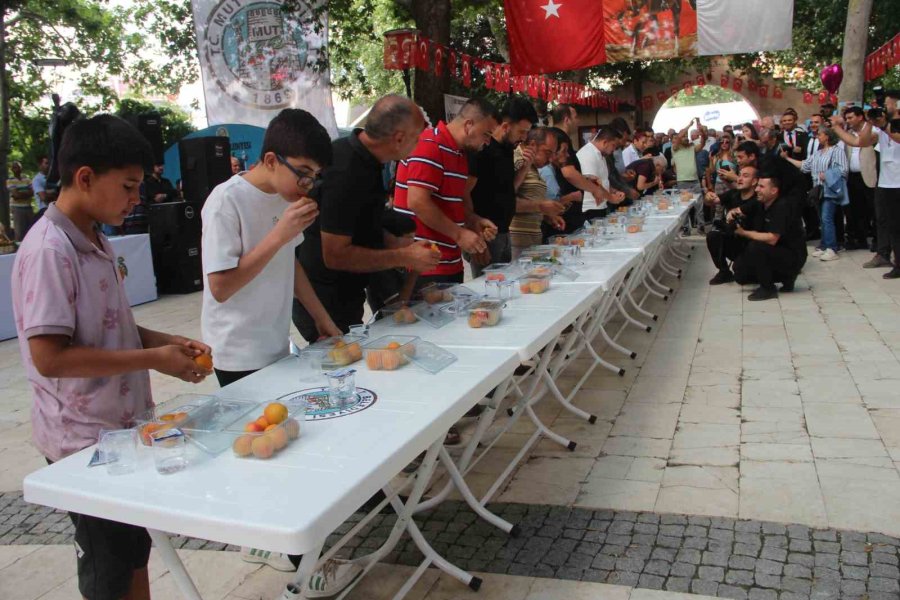 Mut Karacaoğlan Ve Kayısı Festivali Coşkulu Başladı