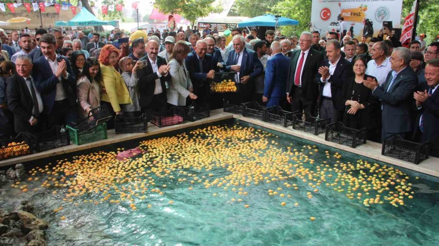 Mut Karacaoğlan Ve Kayısı Festivali Coşkulu Başladı