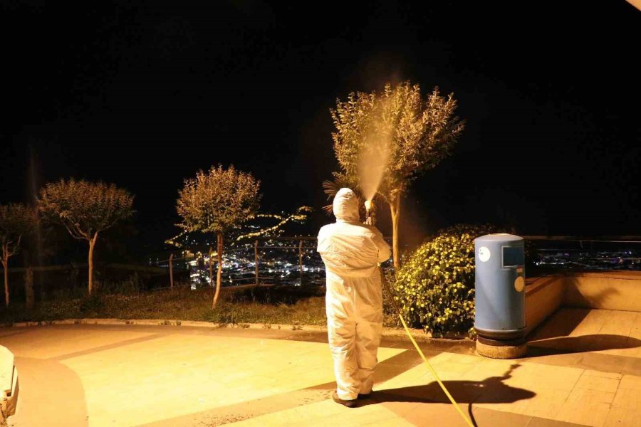 Alanya’da Yeşil Alanlarda Zirai Mücadele