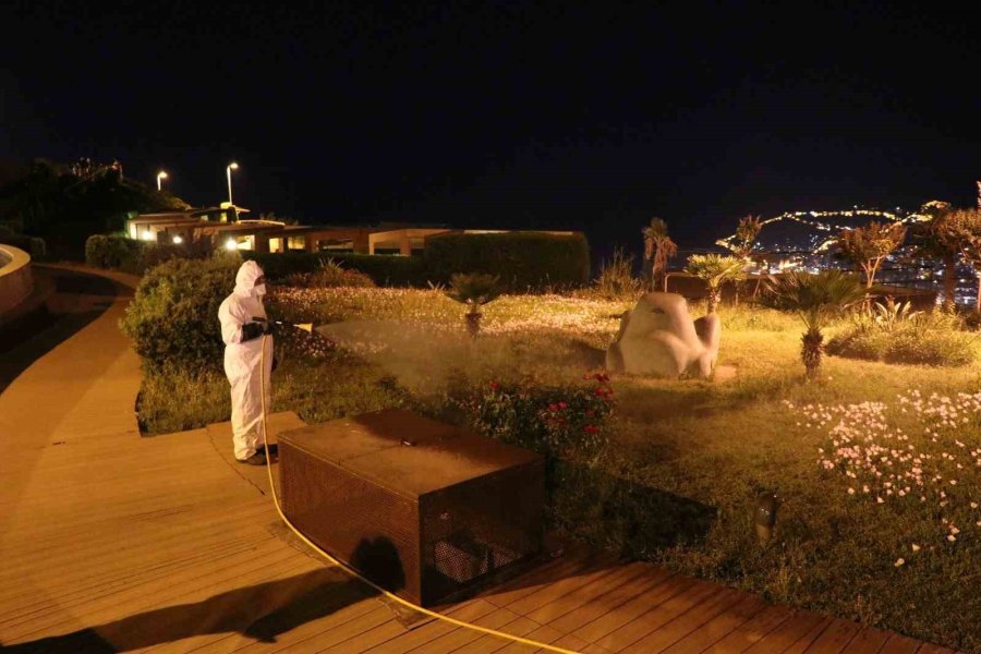 Alanya’da Yeşil Alanlarda Zirai Mücadele