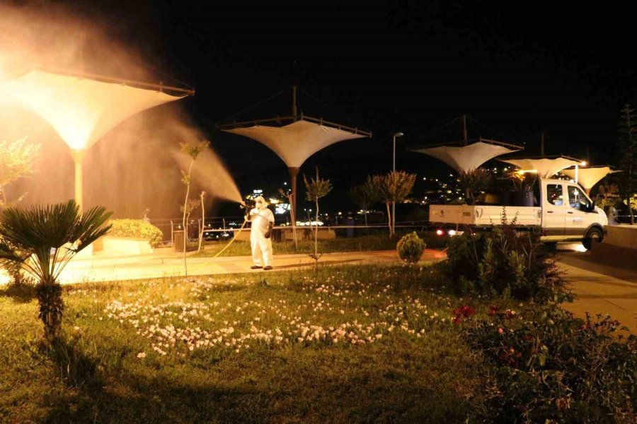 Alanya’da Yeşil Alanlarda Zirai Mücadele