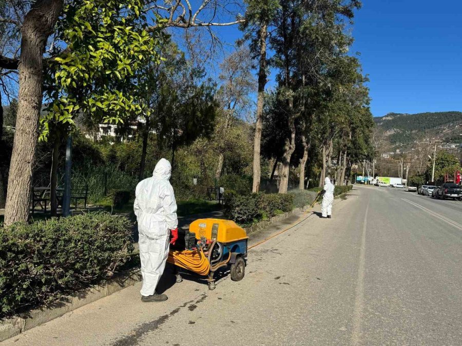 Alanya’da Yeşil Alanlarda Zirai Mücadele