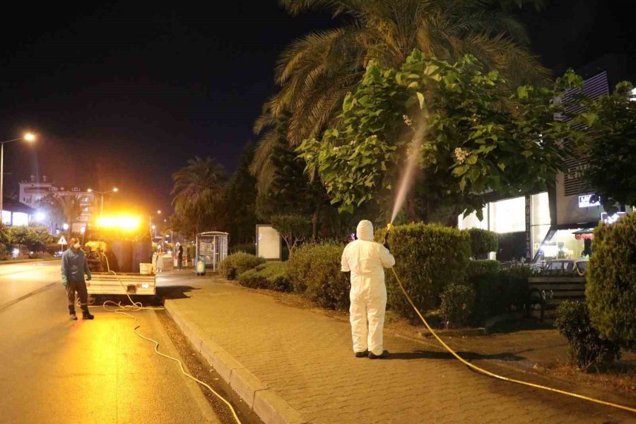 Alanya’da Yeşil Alanlarda Zirai Mücadele