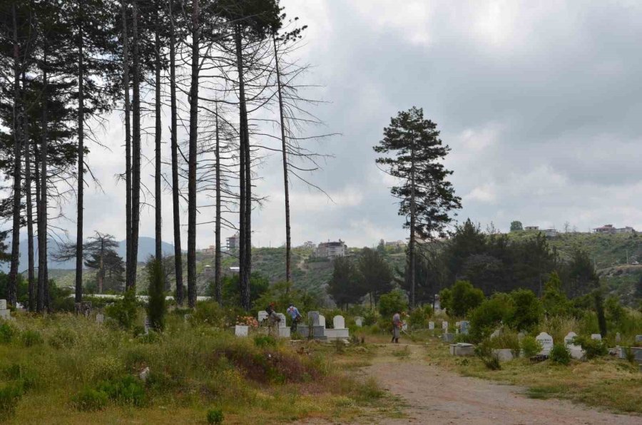 Alanya’daki Mezarlıklarda Kurban Bayramı Hazırlıkları Başladı