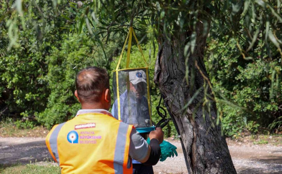 Sarısu Kadınlar Plajı 1 Haziran’da Açılıyor