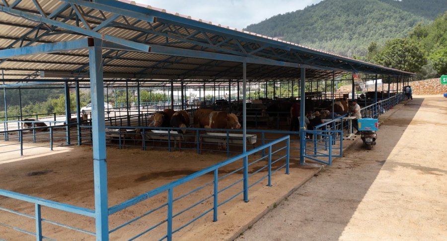 Alanya’da Kurban Satış Yerleri Doldu