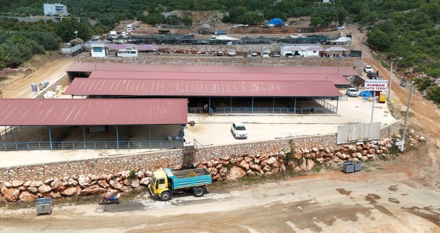 Alanya’da Kurban Satış Yerleri Doldu
