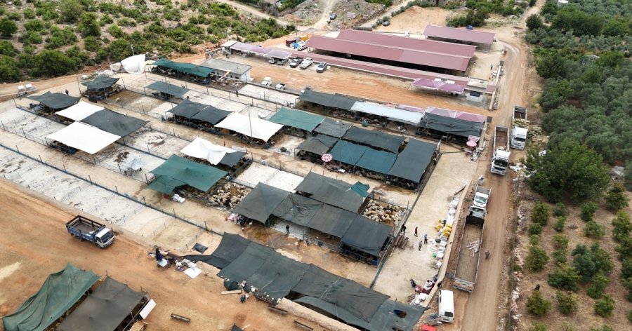 Alanya’da Kurban Satış Yerleri Doldu