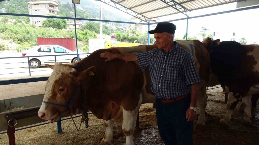 Alanya’da Kurban Satış Yerleri Doldu