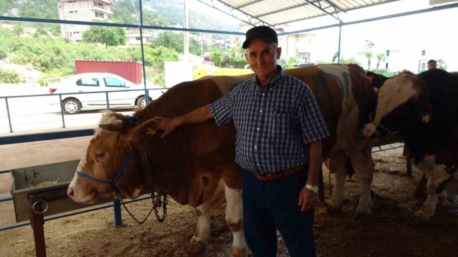 Alanya’da Kurban Satış Yerleri Doldu