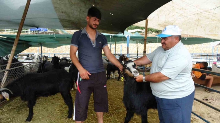 Alanya’da Kurban Satış Yerleri Doldu