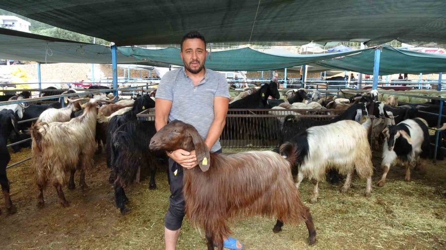 Alanya’da Kurban Satış Yerleri Doldu