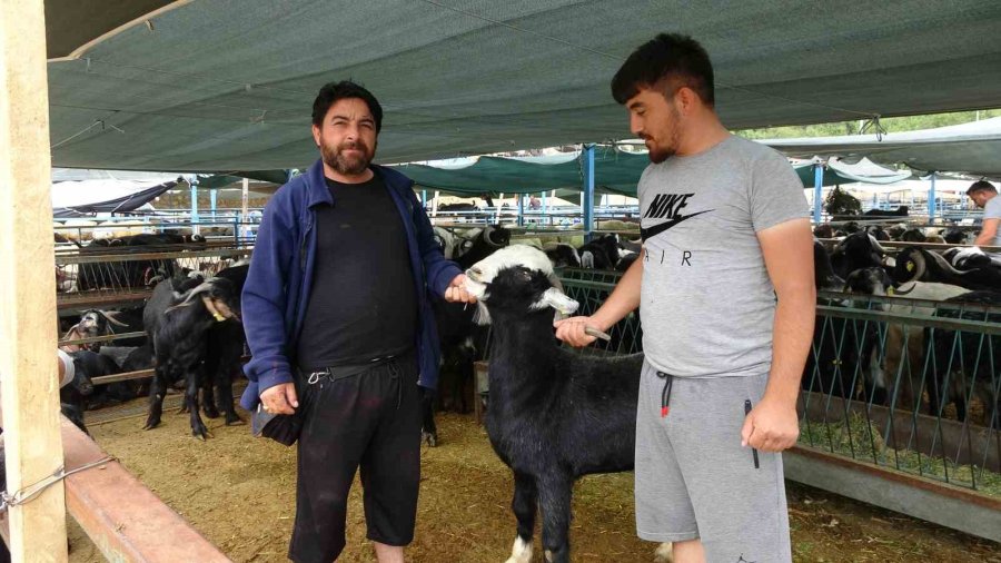 Alanya’da Kurban Satış Yerleri Doldu