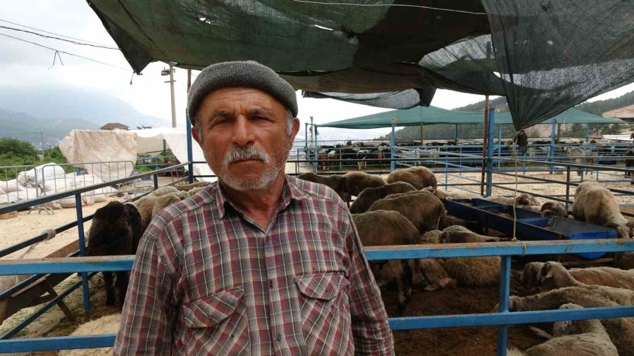 Alanya’da Kurban Satış Yerleri Doldu