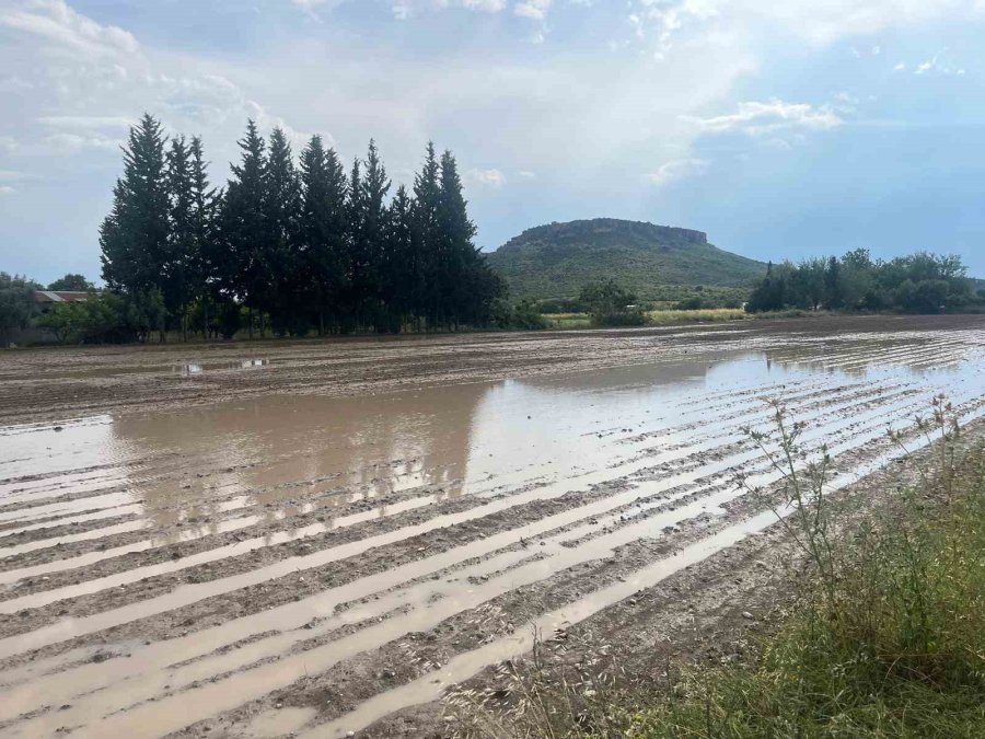 Serik’te Dolu Tarım Arazilerine Zarar Verdi, Hasar Tespit Çalışması Başlatıldı