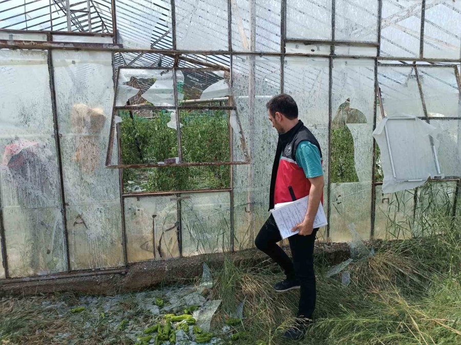 Serik’te Dolu Tarım Arazilerine Zarar Verdi, Hasar Tespit Çalışması Başlatıldı