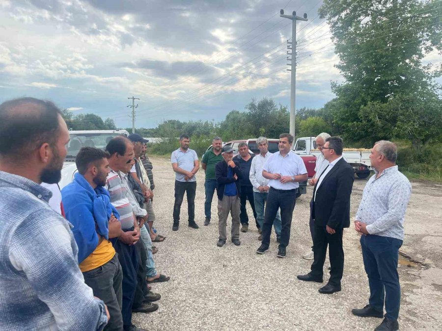 Serik’te Dolu Tarım Arazilerine Zarar Verdi, Hasar Tespit Çalışması Başlatıldı