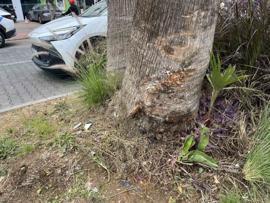 Alanya’da Kontrolden Çıkan Kamyonet Önce Otomobile Çarptı, Ardından Takla Attı: 1 Yaralı