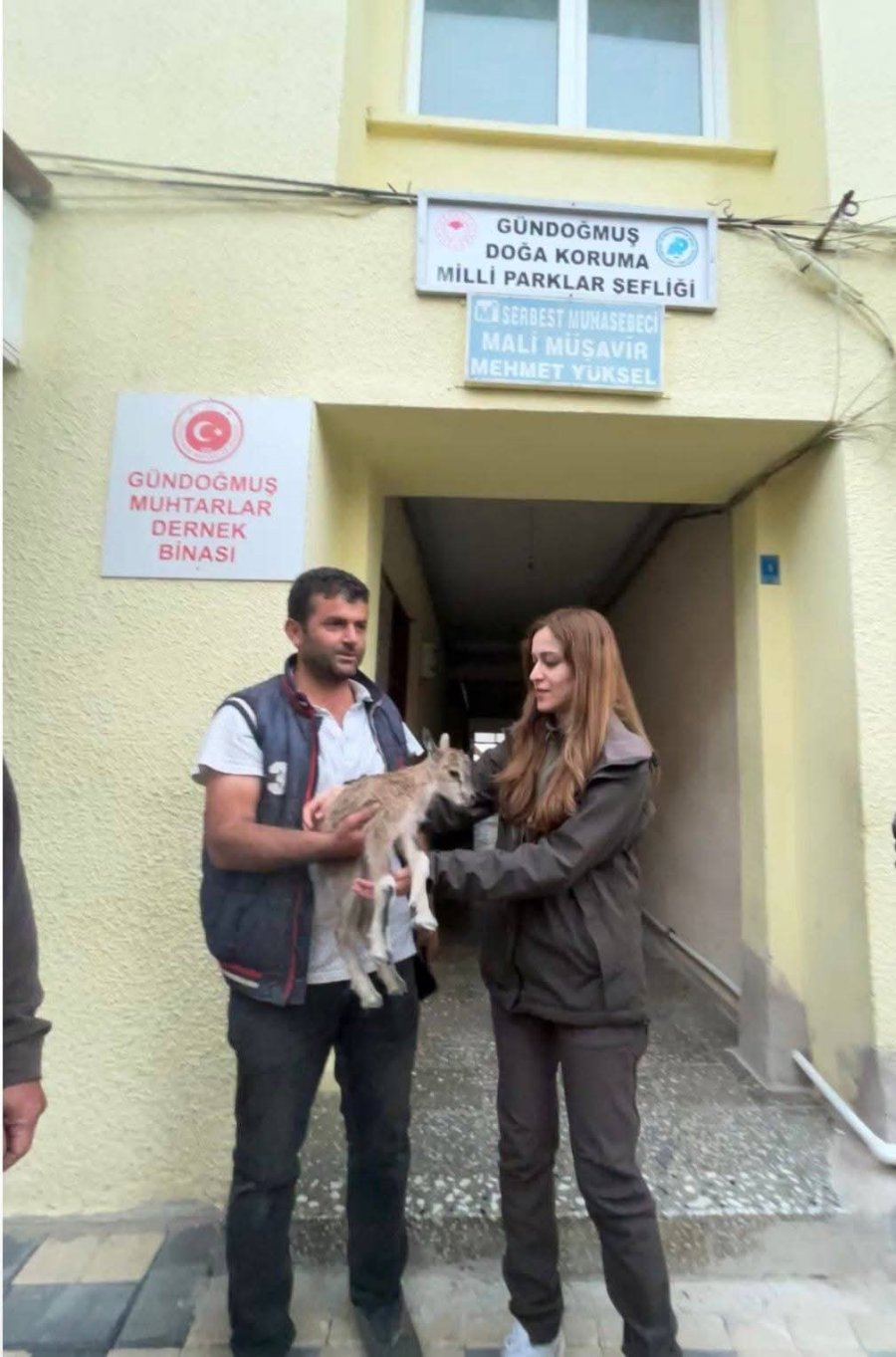 Yolda Bulduğu Yaban Keçisi Yavrusunu Doğa Koruma Ve Milli Parklara Teslim Etti