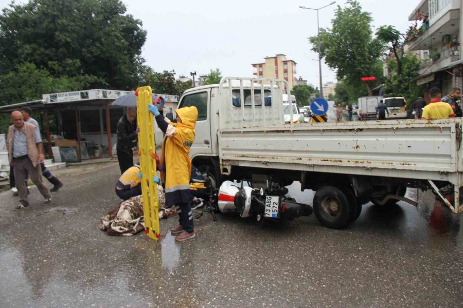 Kamyonet İle Çarpışan Motosikletin Sürücüsü Yaralandı