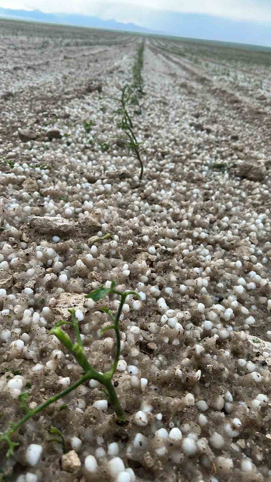 Aksaray’da Sağanak Ve Dolu Tarım Arazilerini Vurdu