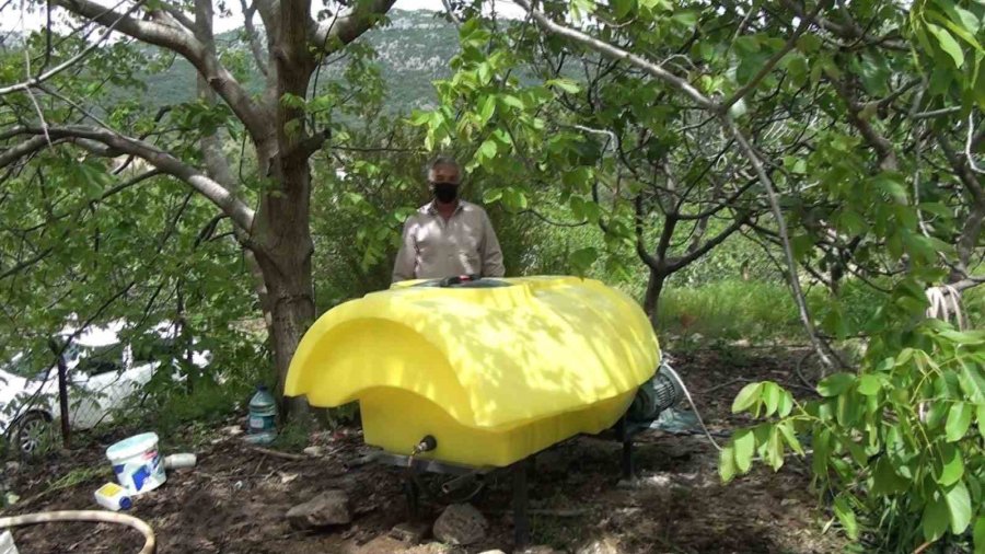 Antalya’da İncir Bahçelerinde Yeni Sezon Hazırlıkları