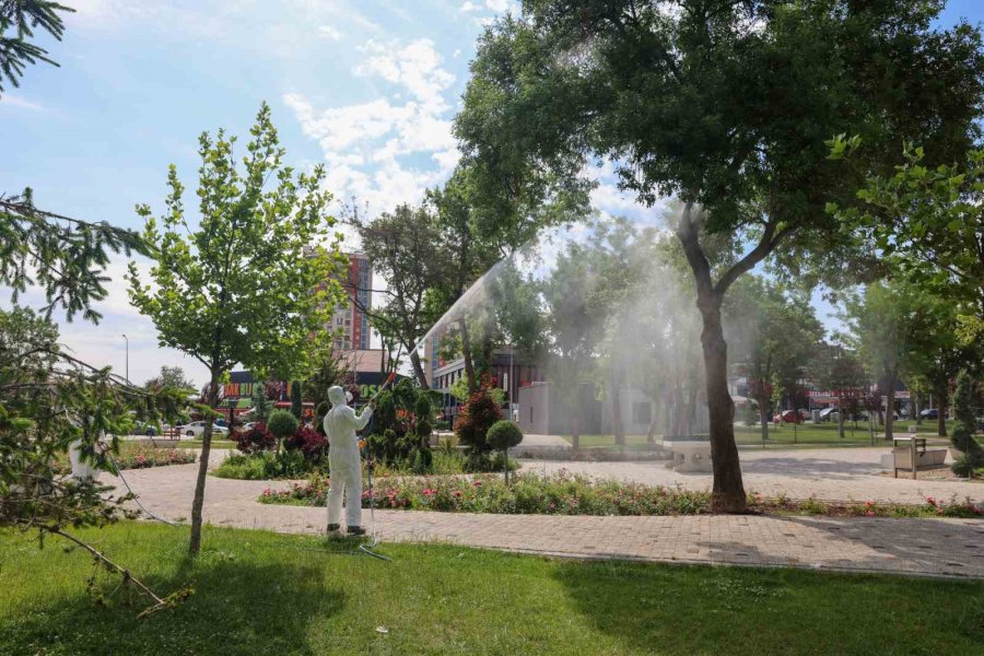 Selçuklu’da Yeşil Alanları İlaçlama Çalışmaları Devam Ediyor