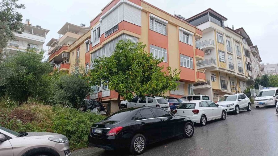 Manavgat’ta Dev Ağaç Binanın Üzerine Devrildi