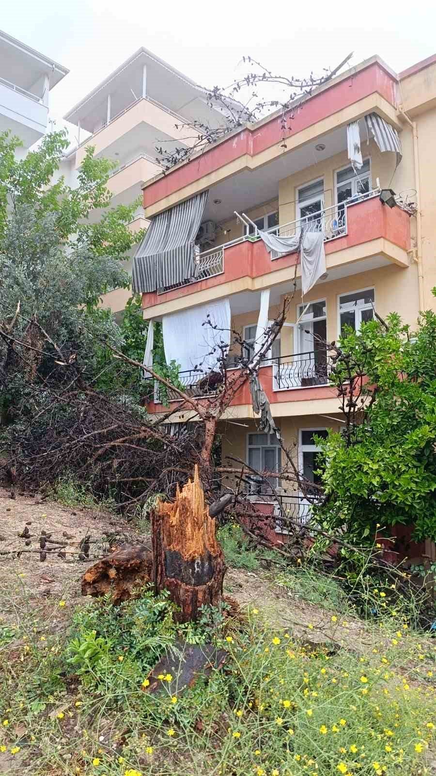 Manavgat’ta Dev Ağaç Binanın Üzerine Devrildi