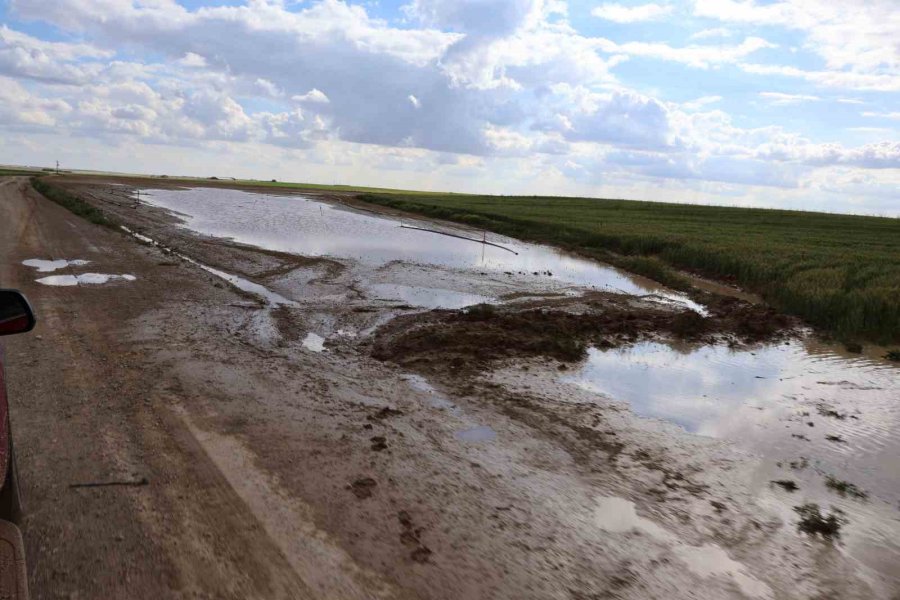 Tzob Başkanı Bayraktar: "afet Sayısı Ve Şiddeti Her Geçen Yıl Artıyor"