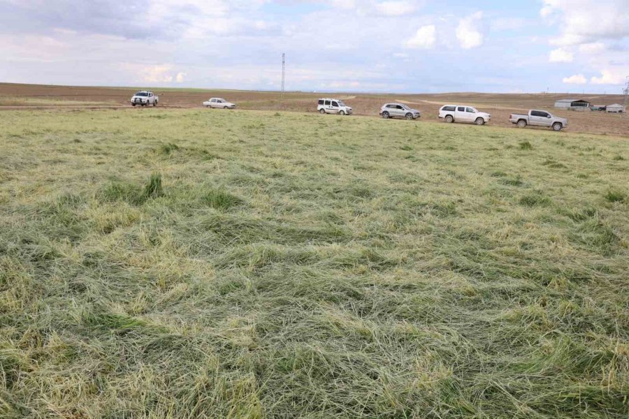 Tzob Başkanı Bayraktar: "afet Sayısı Ve Şiddeti Her Geçen Yıl Artıyor"