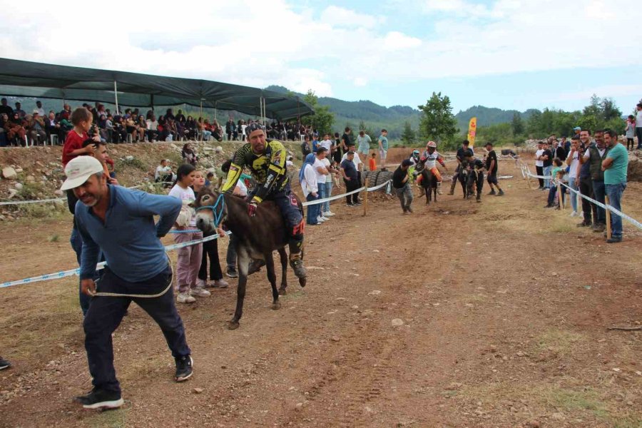 Motokros Yarışında Motosikletle Birinci, Diğer Yarışmada Eşekle Sonuncu Oldu