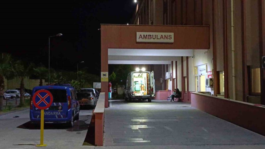 Otomobil Refüjdeki Ağaca Çarptı, Sürücü Yaralandı