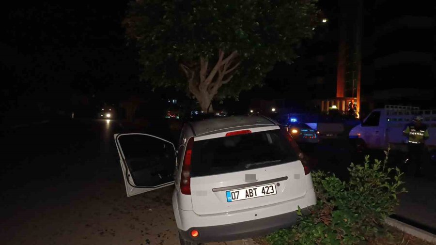 Otomobil Refüjdeki Ağaca Çarptı, Sürücü Yaralandı