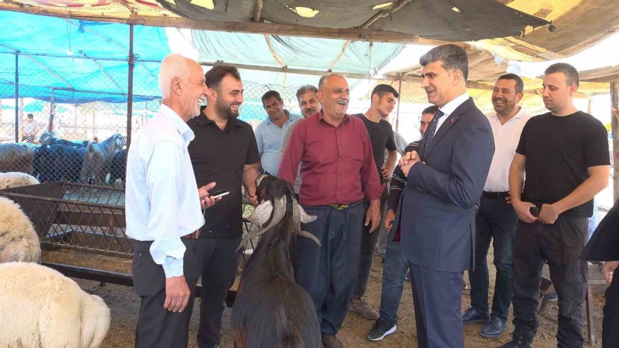 Akdeniz’de Kurban Satış Yerleri Hazır