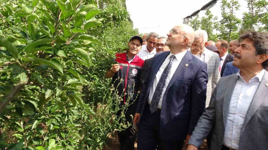Tbmm Zirai Don Komisyonu Üyeleri, Karaman’da Elma Bahçelerini İnceledi