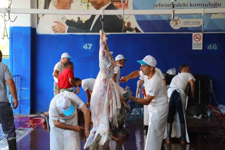 Antalya Büyükşehir Belediyesi Kurban Bayramı’na Hazır