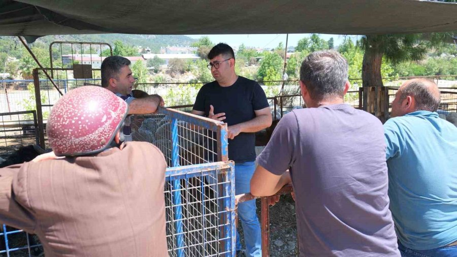 Kemer Belediyesi’nde Kurban Satış Alanlarında Denetim