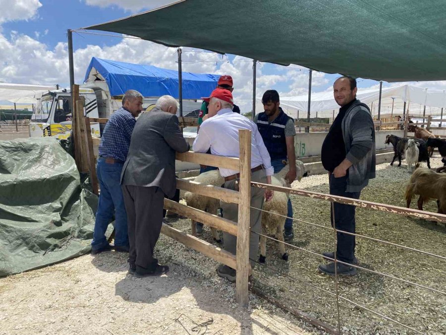 Konya’da Kurban Satıcıları Yarını Bekliyor