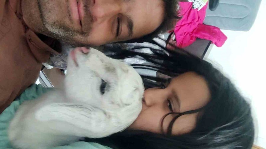 Bayramın En Şanslı Keçisi Kesilmekten Kurtuldu