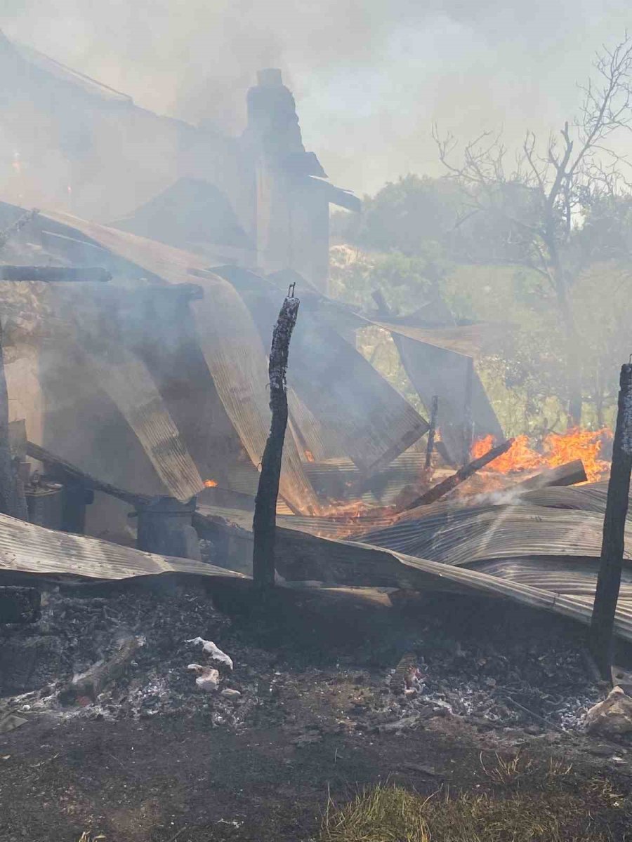 Antalya’da Yaşlı Çiftin Evi Yandı, İki Kurbanlığı Telef Oldu